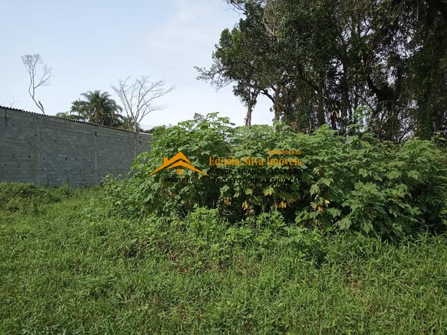 #591 - Terreno para  em Mongaguá - SP